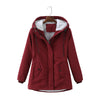 Rouge Bordeaux / 4XL